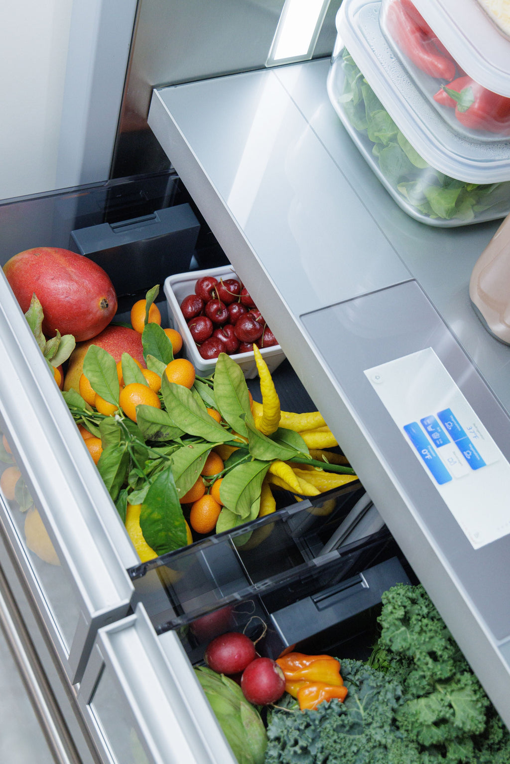 Thermador T36BT110NS French Door Bottom-Mount Freezer
